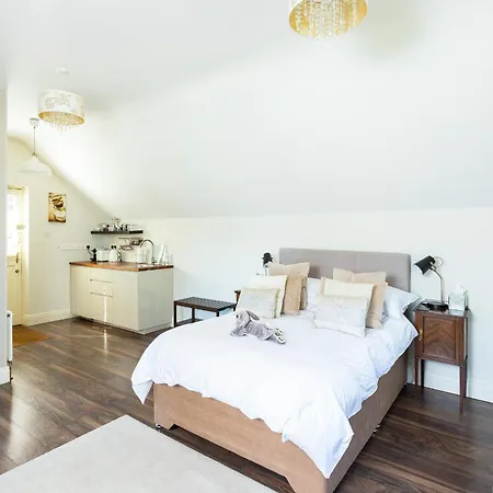 The Loft, Apple & Blossom Macroom