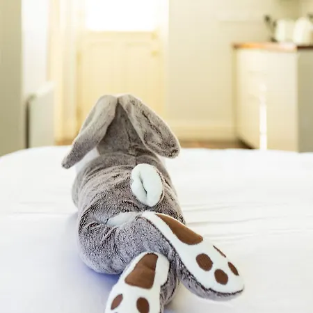 The Loft, Apple & Blossom