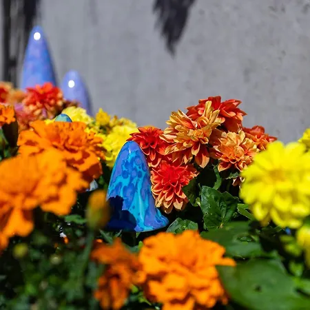 The Loft, Apple & Blossom