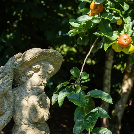 The Loft, Apple & Blossom Macroom