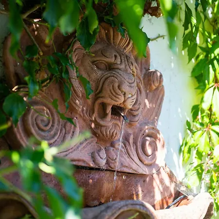 The Loft, Apple & Blossom