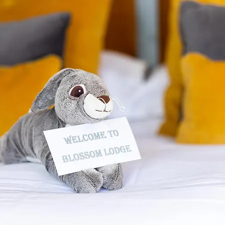 The Loft, Apple & Blossom