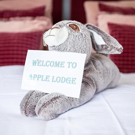 The Loft, Apple & Blossom Lejlighed Macroom