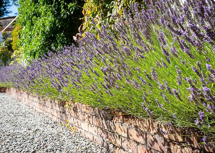The Loft, Apple & Blossom Apartment *