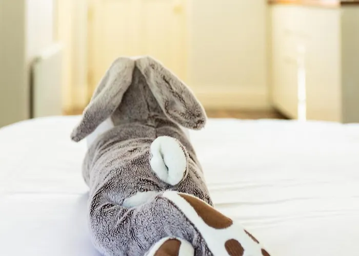 The Loft, Apple & Blossom