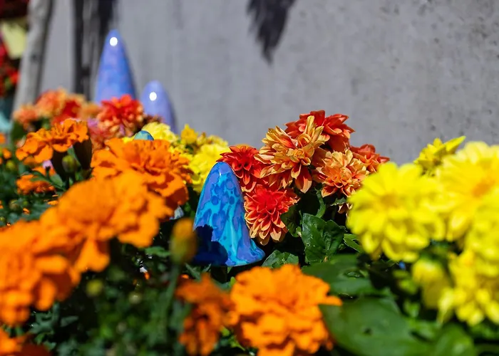 The Loft, Apple & Blossom