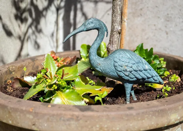 The Loft, Apple & Blossom *