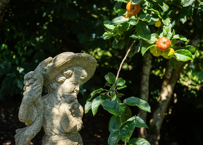 The Loft, Apple & Blossom Macroom