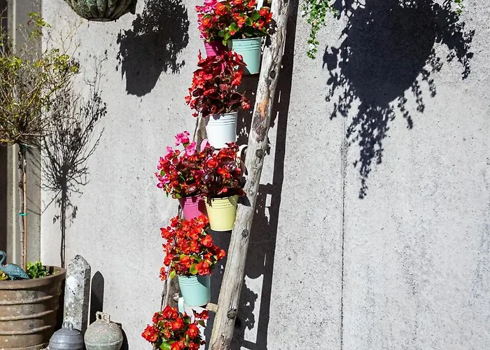 The Loft, Apple & Blossom Апартаменты