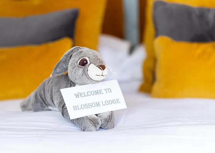 The Loft, Apple & Blossom